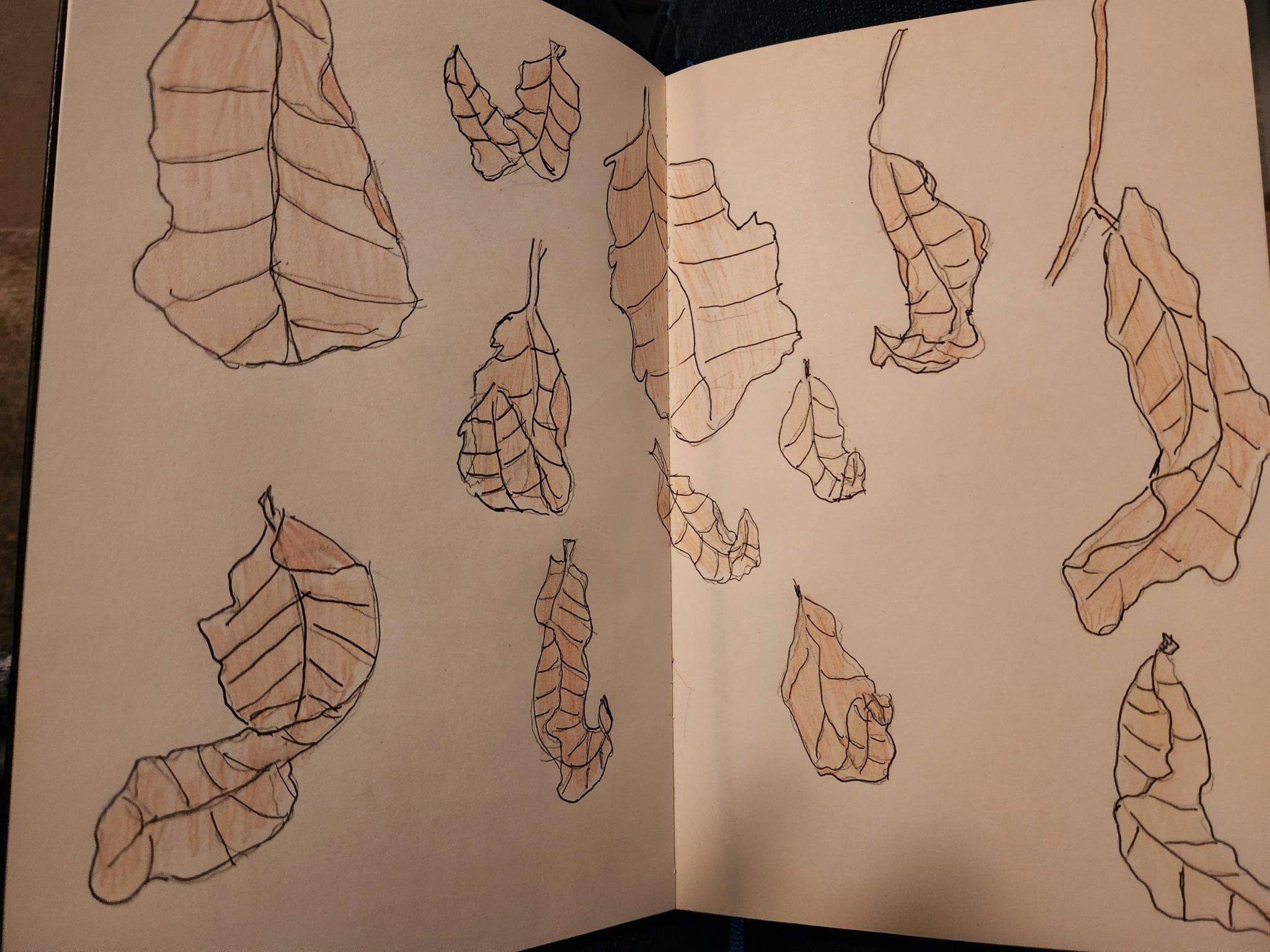 more-projects-from-class-img