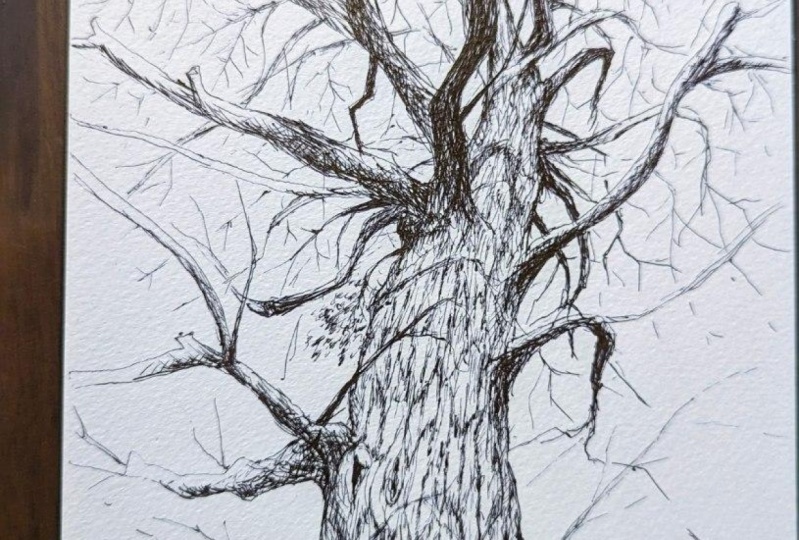 Practice on textures with pen