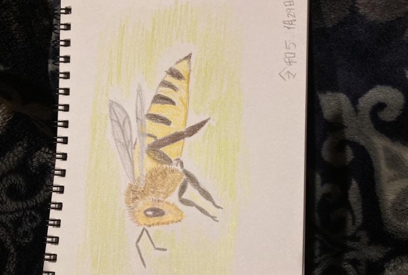 Bee Drawing