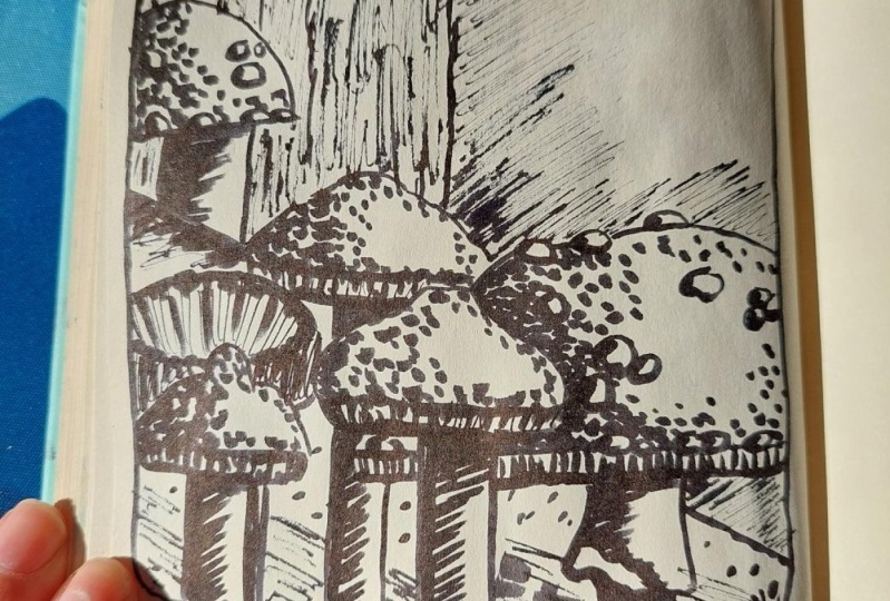 Mushrooms in brush pen