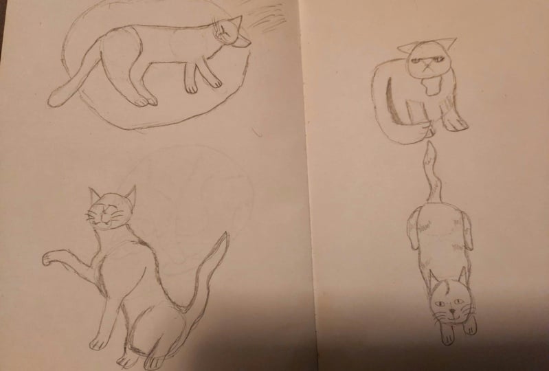 Cats