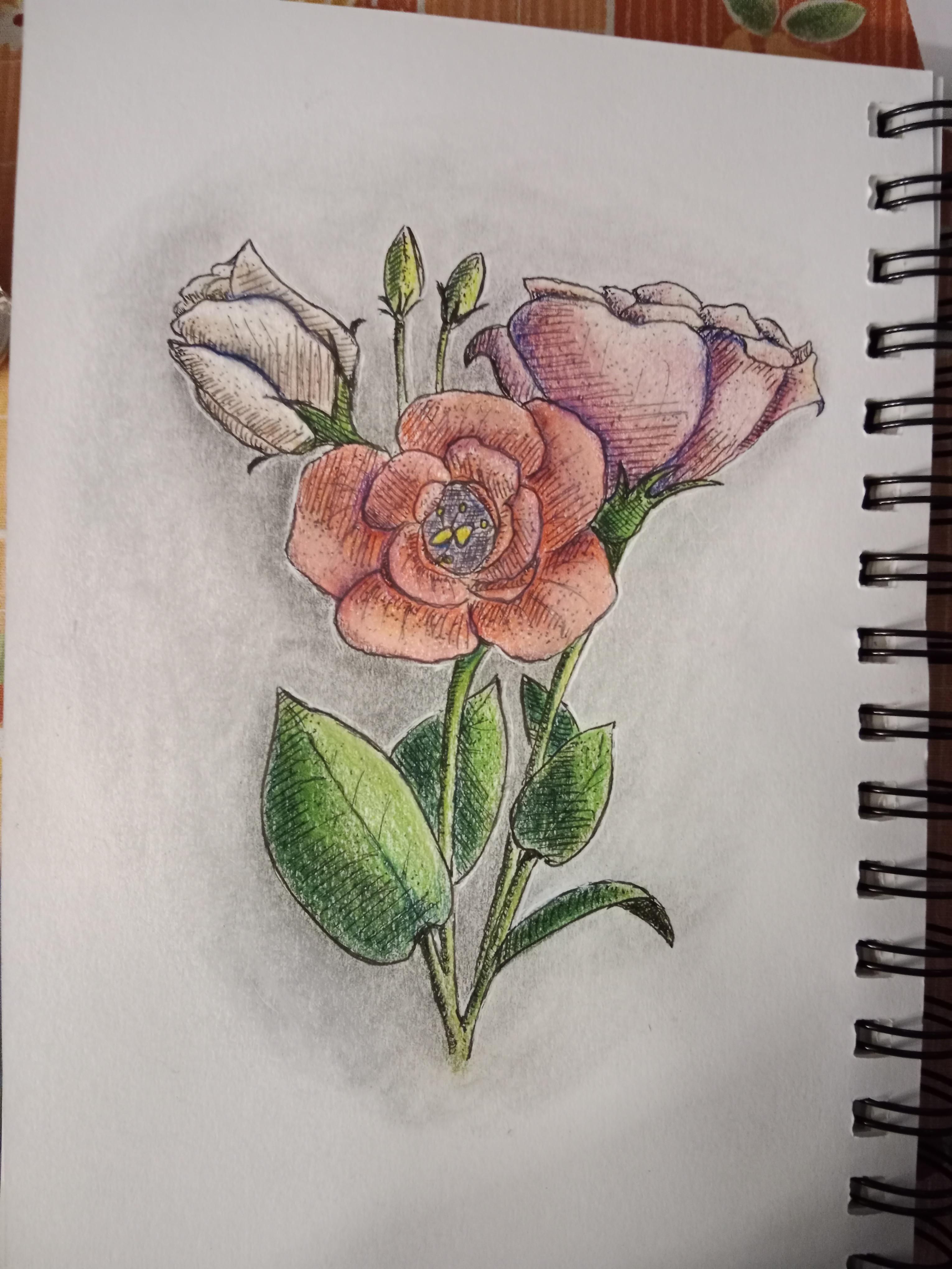 Mon bouquet :) - student project