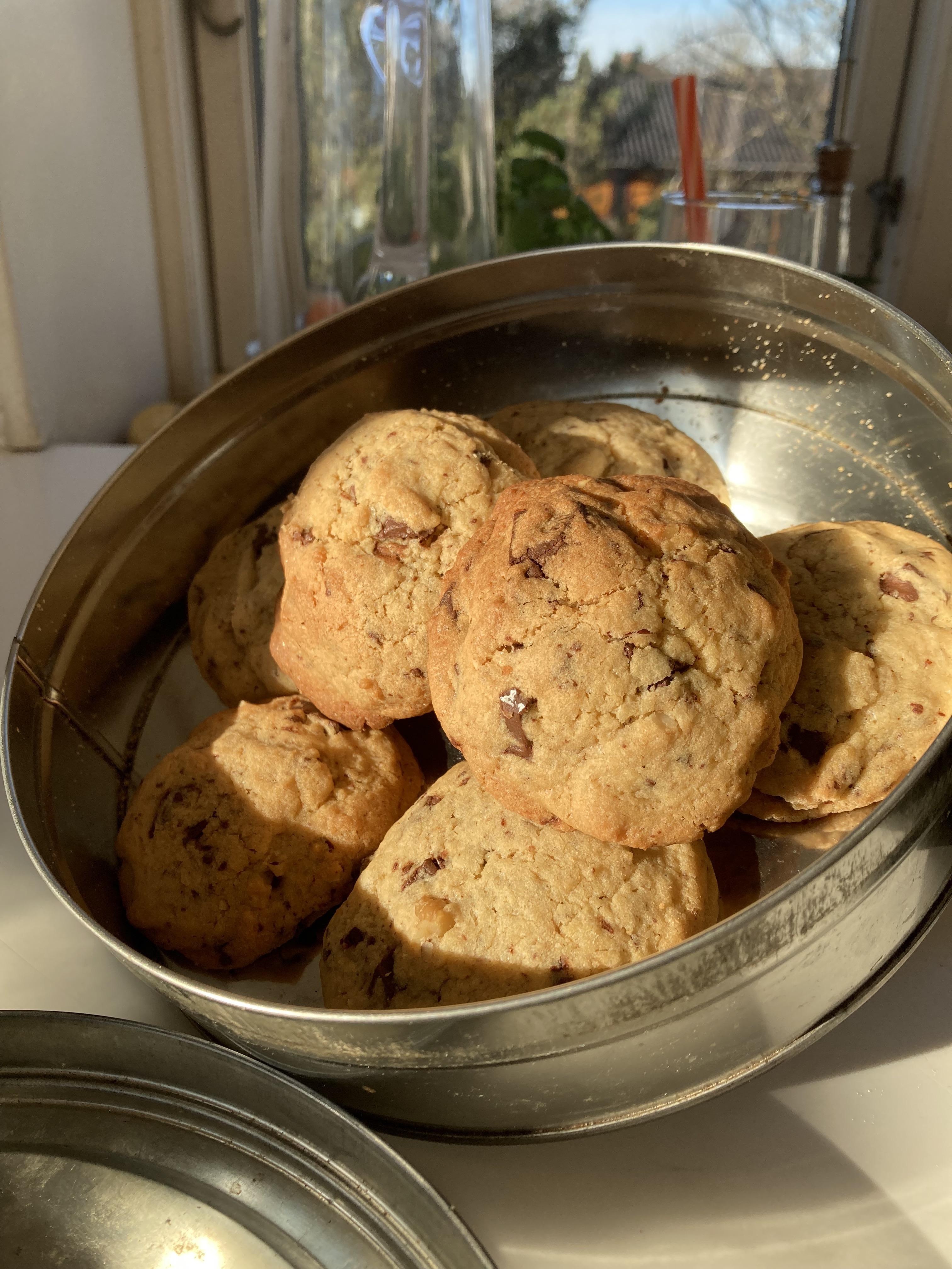 Chocolate and hazelnut cookies - student project