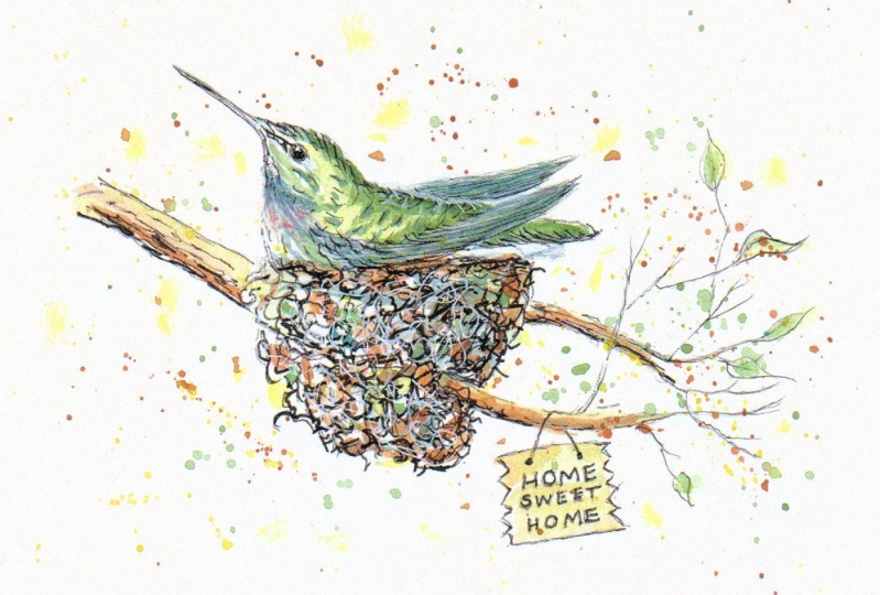 Hummingbird