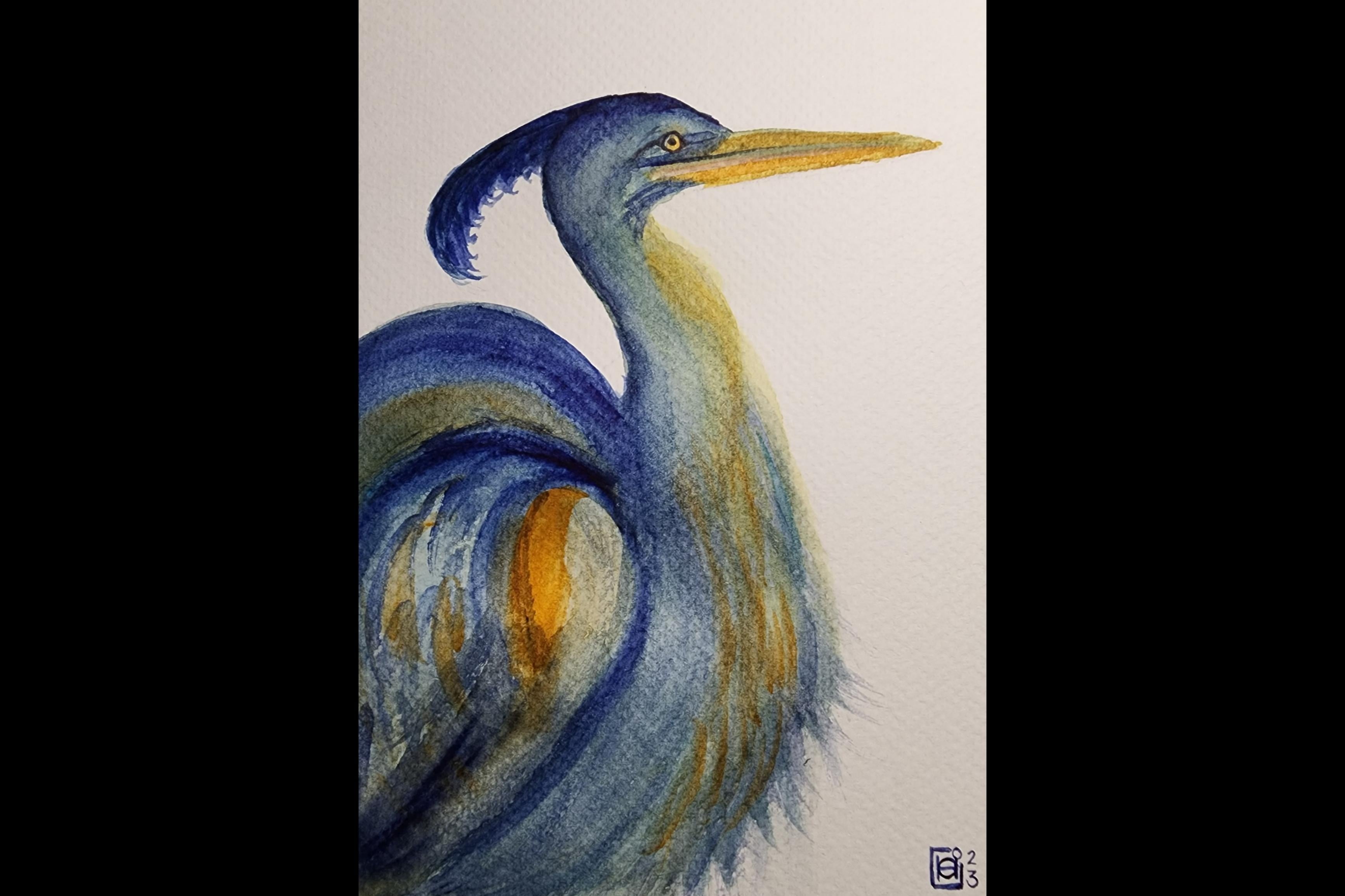 Great Blue Turmock - student project
