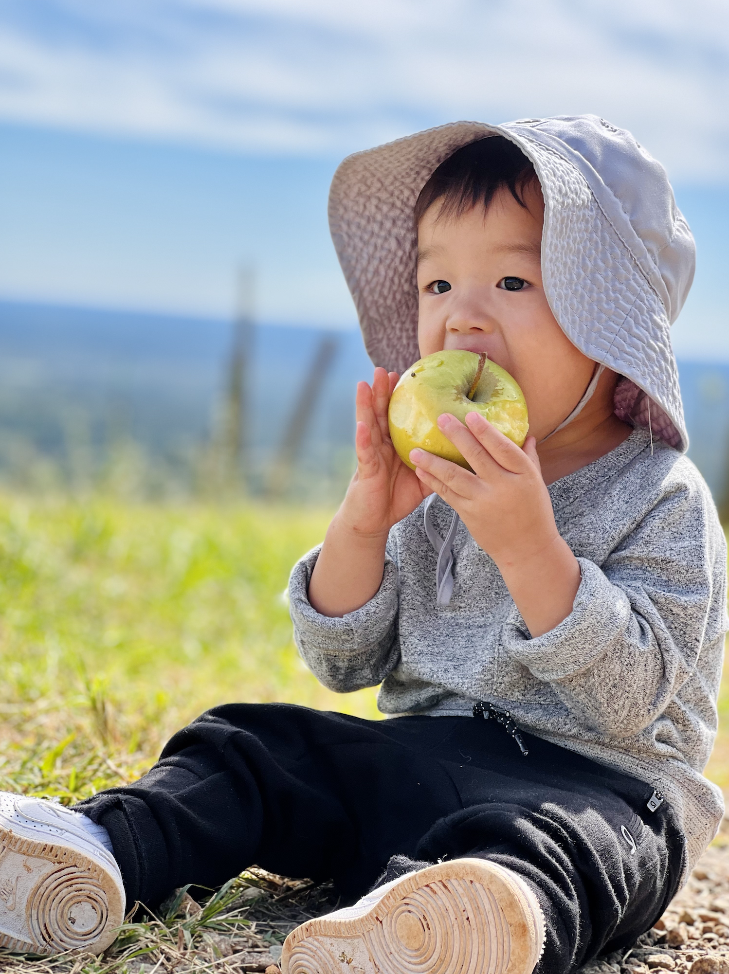apple of my eye - student project