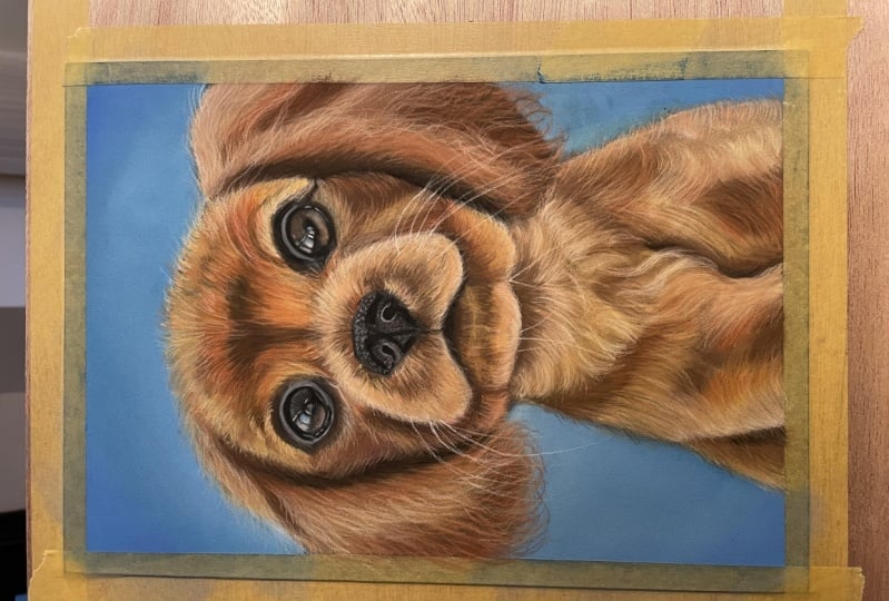 First time (pastel)portret