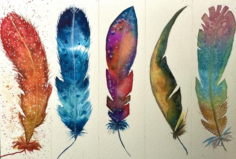 Watercolour Feathers
