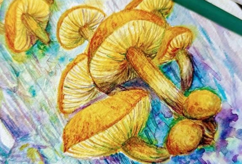 Mushrooms with mixed media