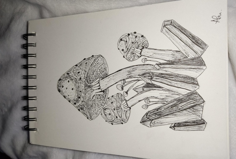 Mushrooms with pen ink