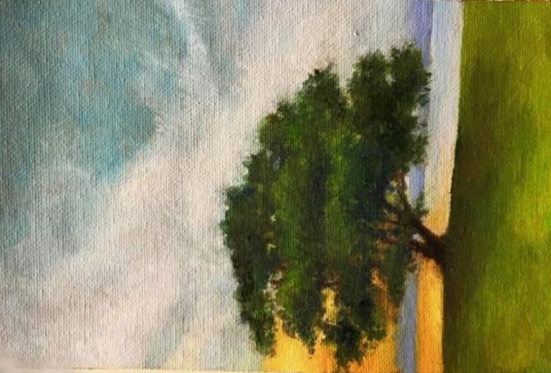 Little Tree by Water