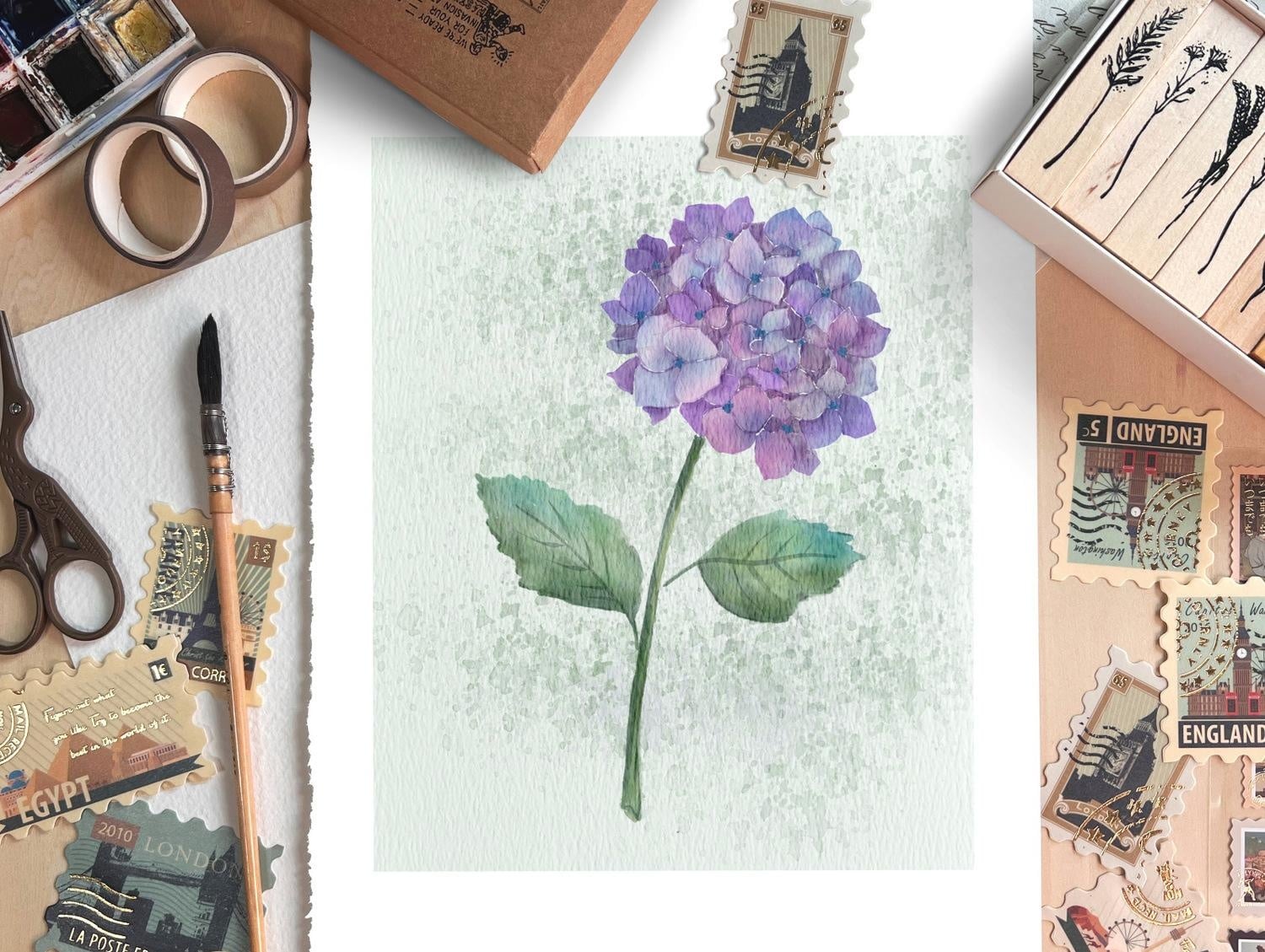 Hydrangea - student project