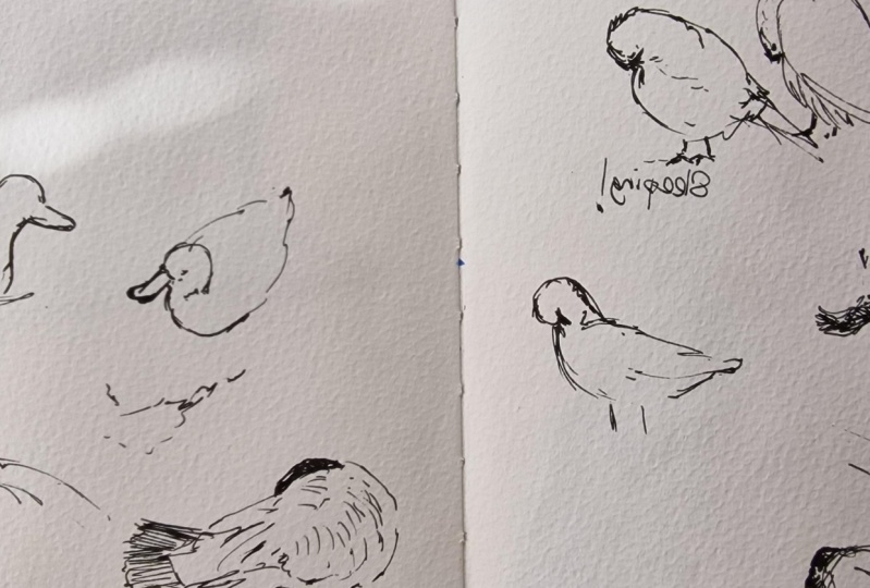 Sketching the things that inspire me.