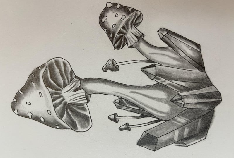 Mushrooms and Crystals