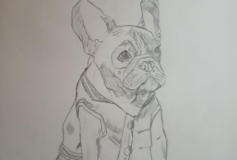 Dogs