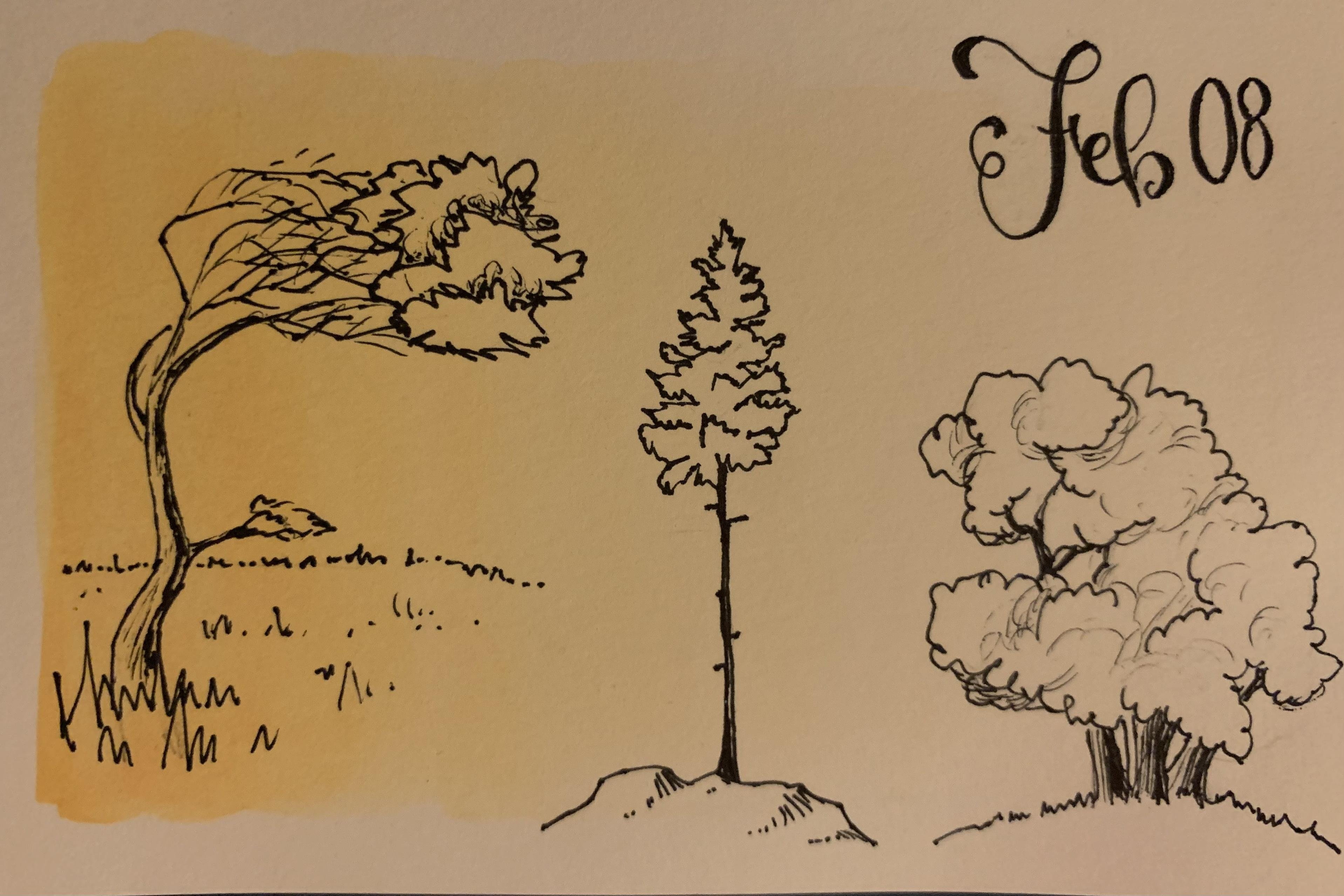 Simple trees - student project