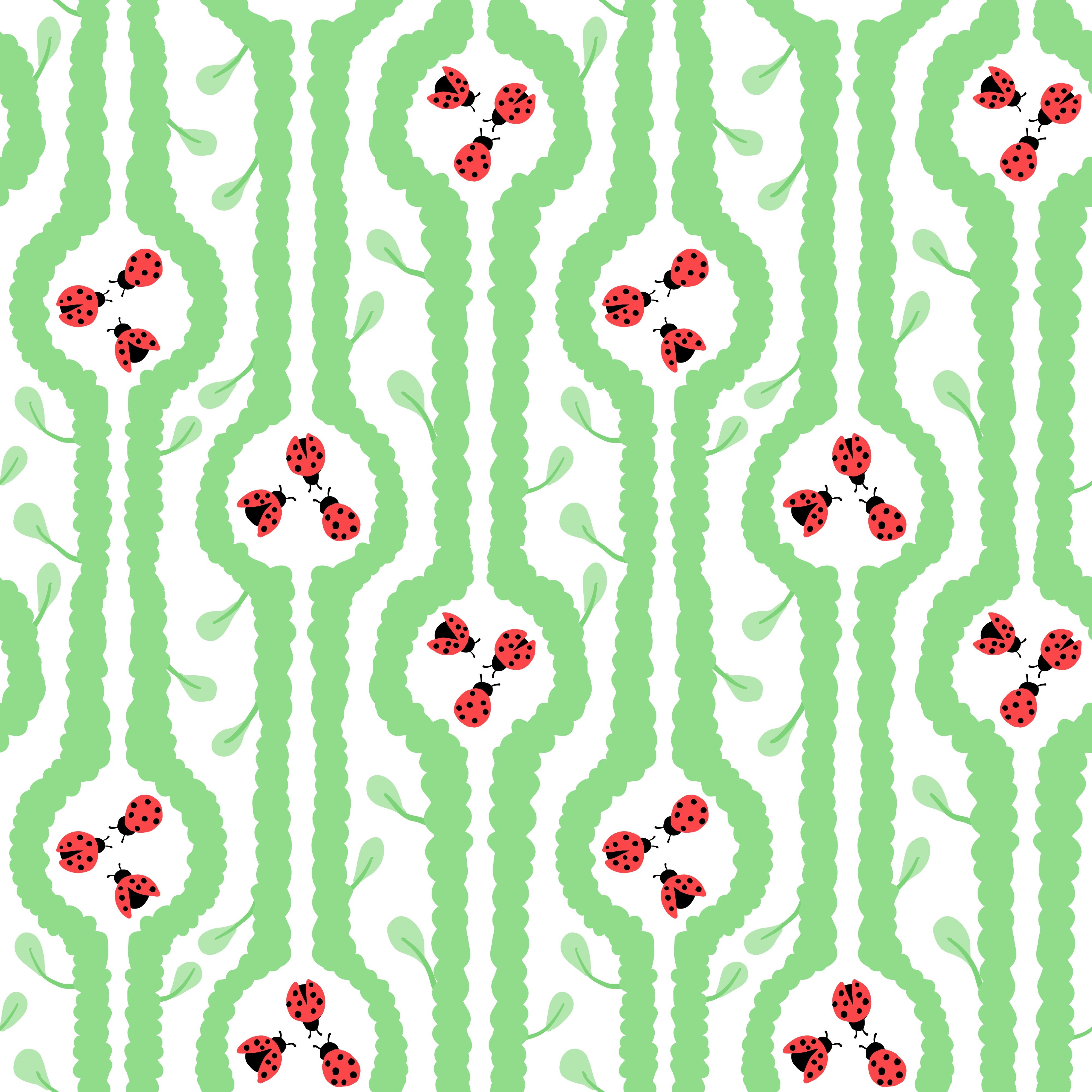 more-projects-from-class-img