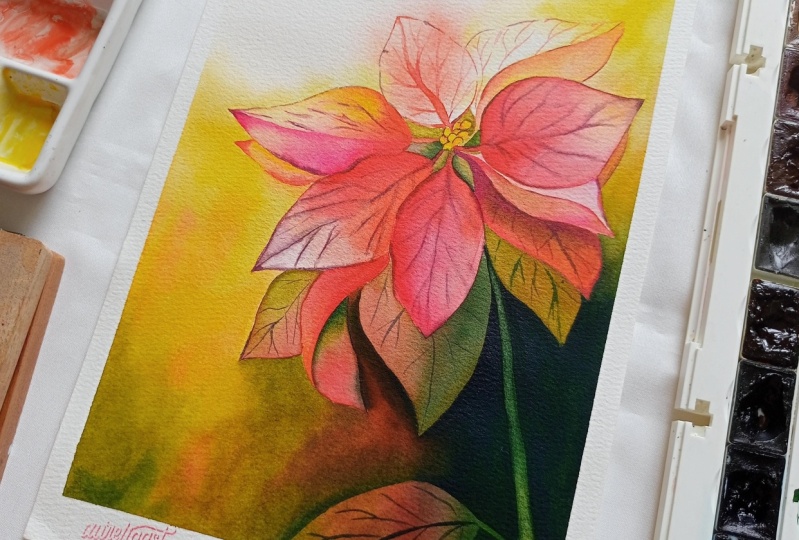 Alluring Poinsettia