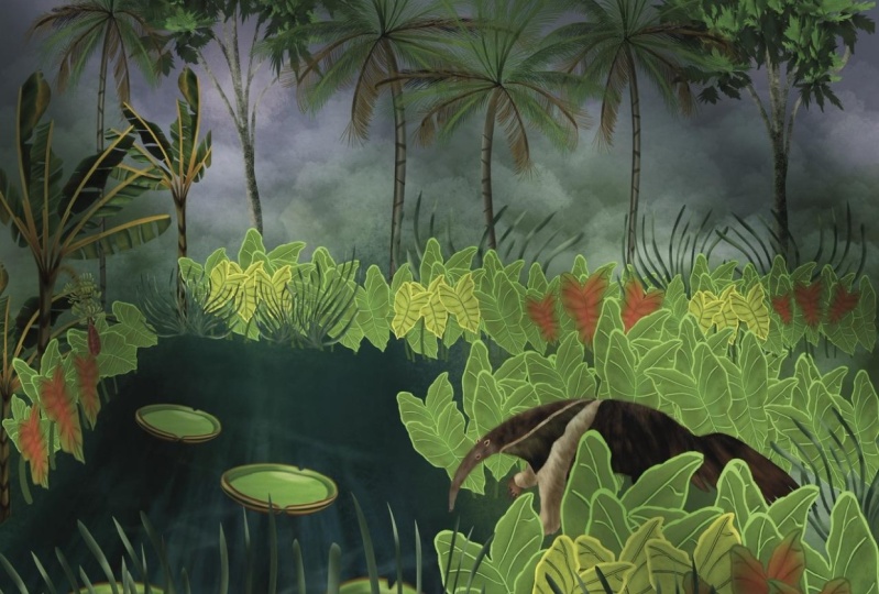 Guyana’s Forrest
