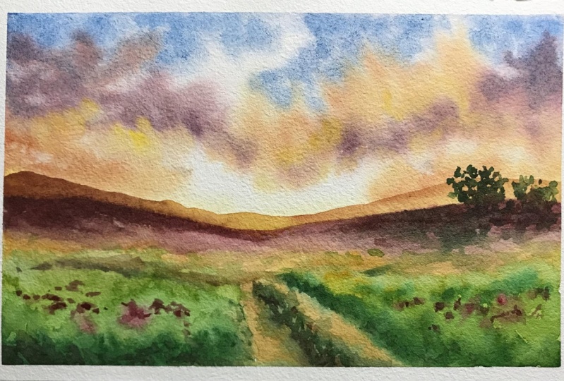 Quick landscape