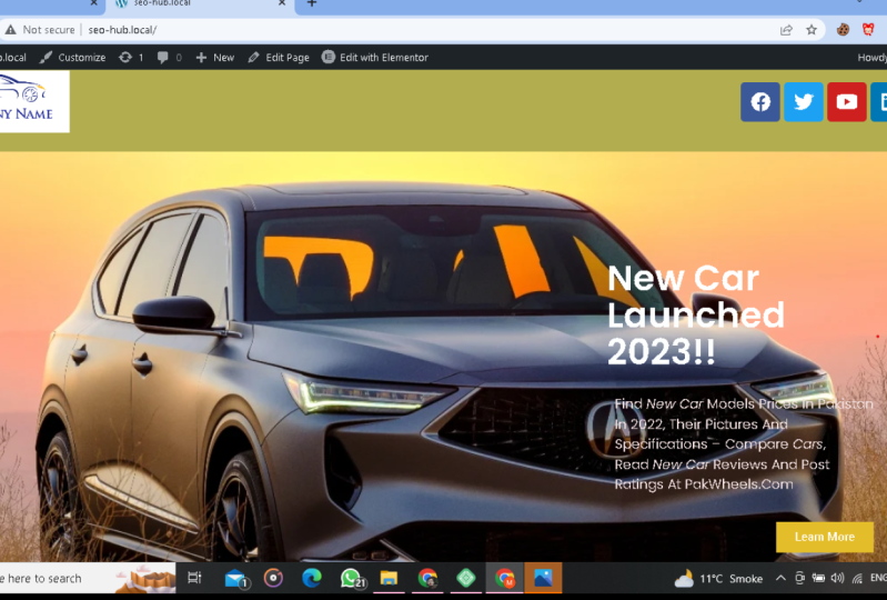 Building Landing Page by Using Elementor pro in Wordprss