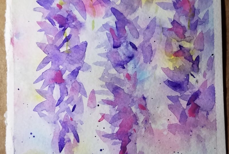 Wisteria