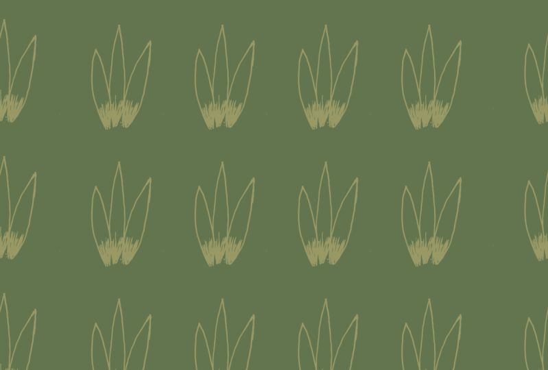 Patches of grass