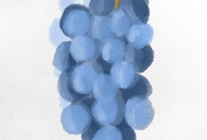 Hand painted look in procreate