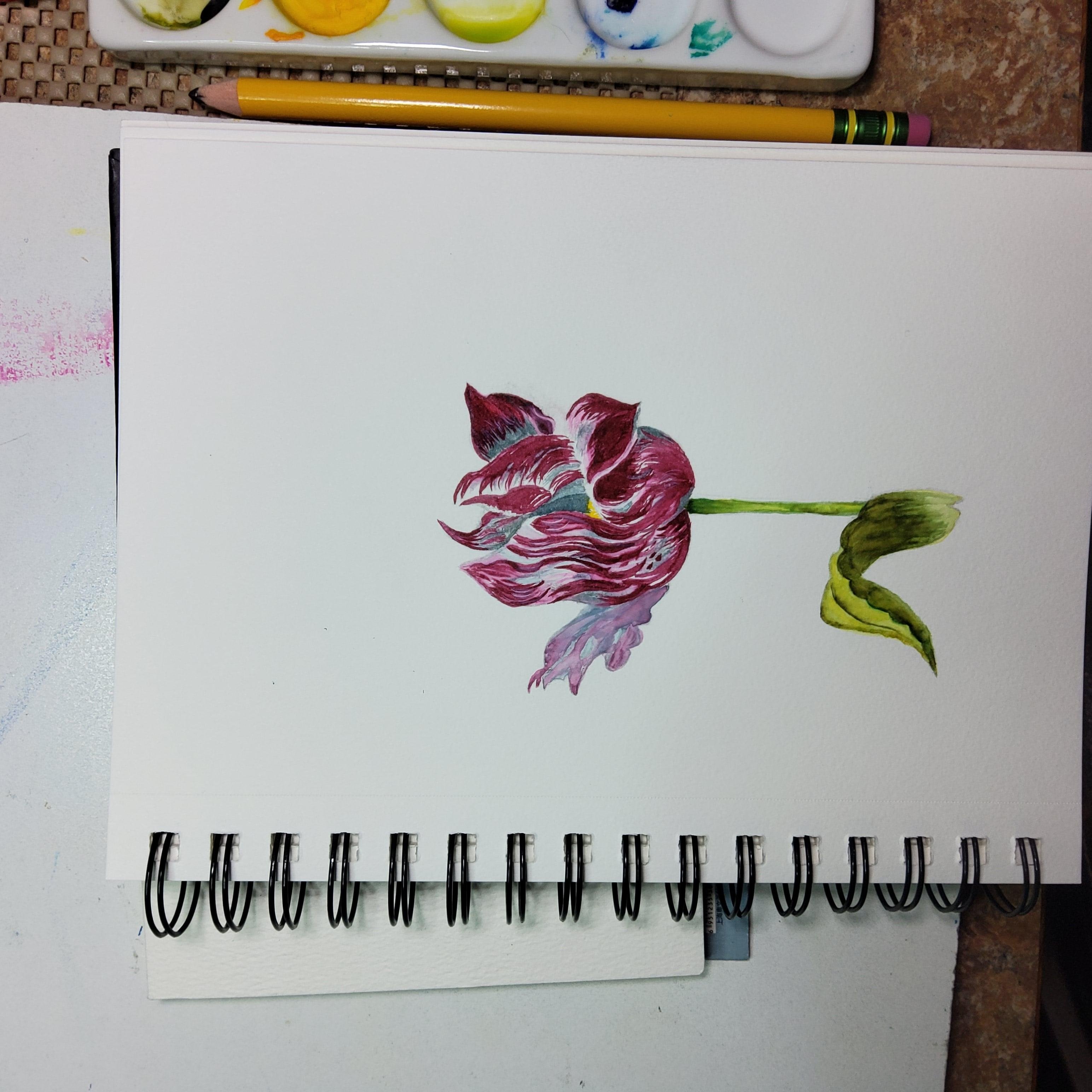 more-projects-from-class-img