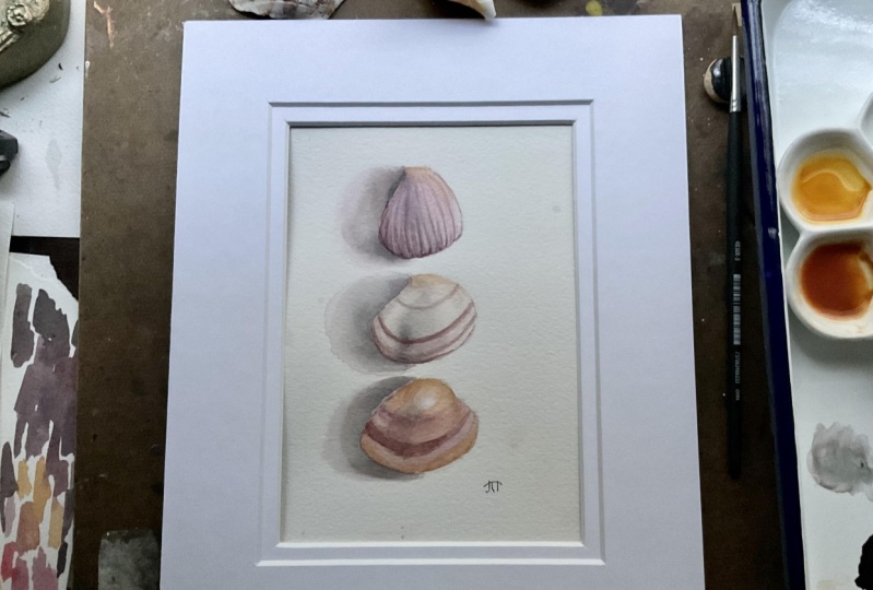 Shells
