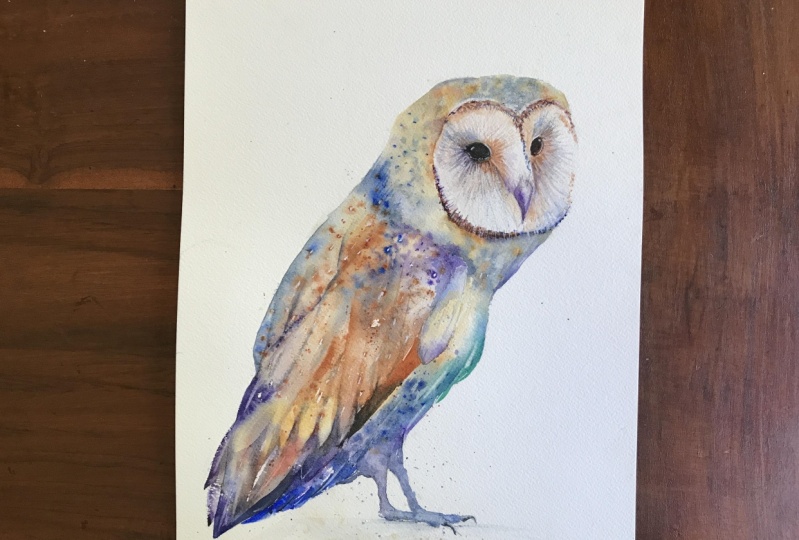 Barn owl watercolour