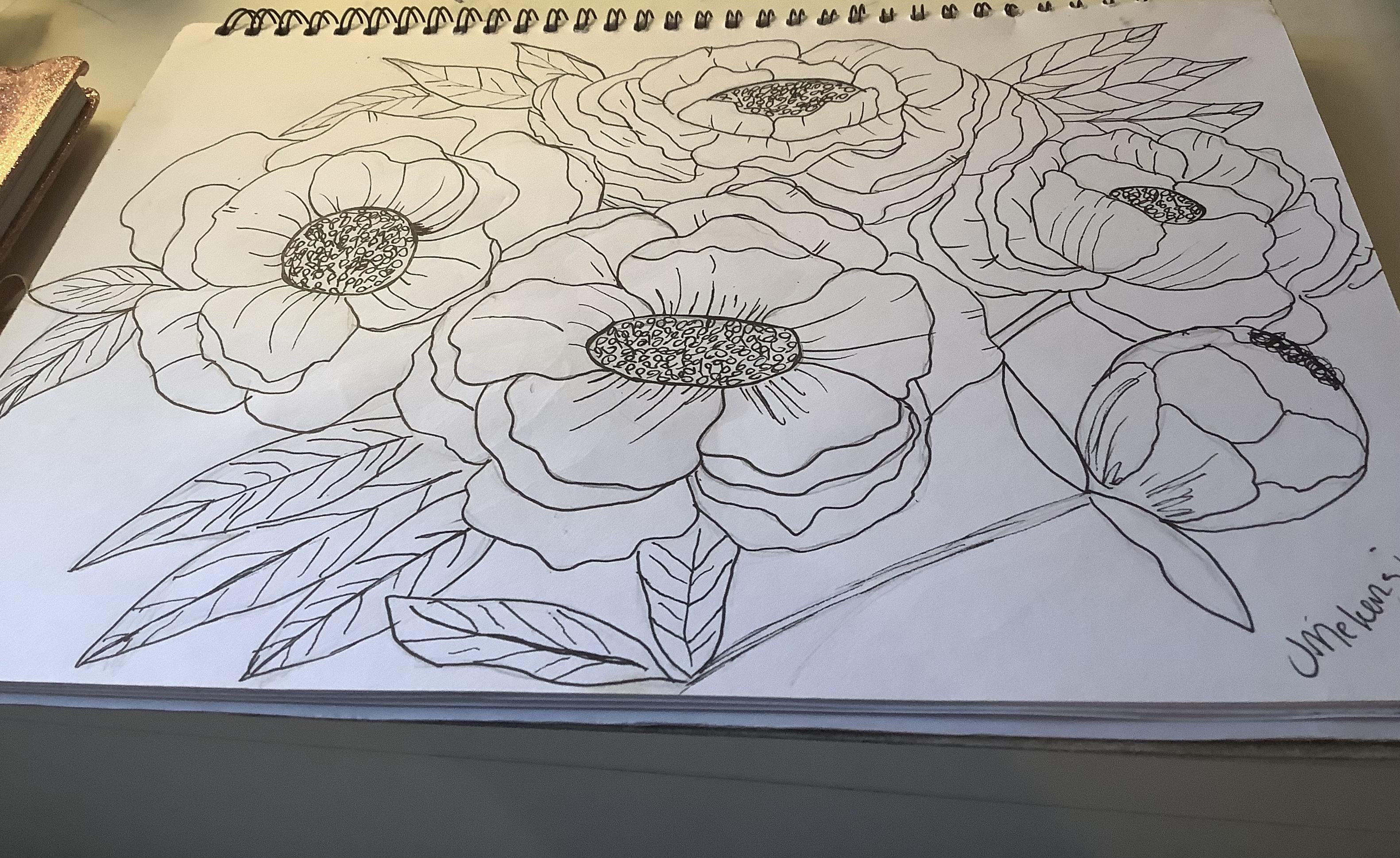 Peonies in a line drawing style - student project