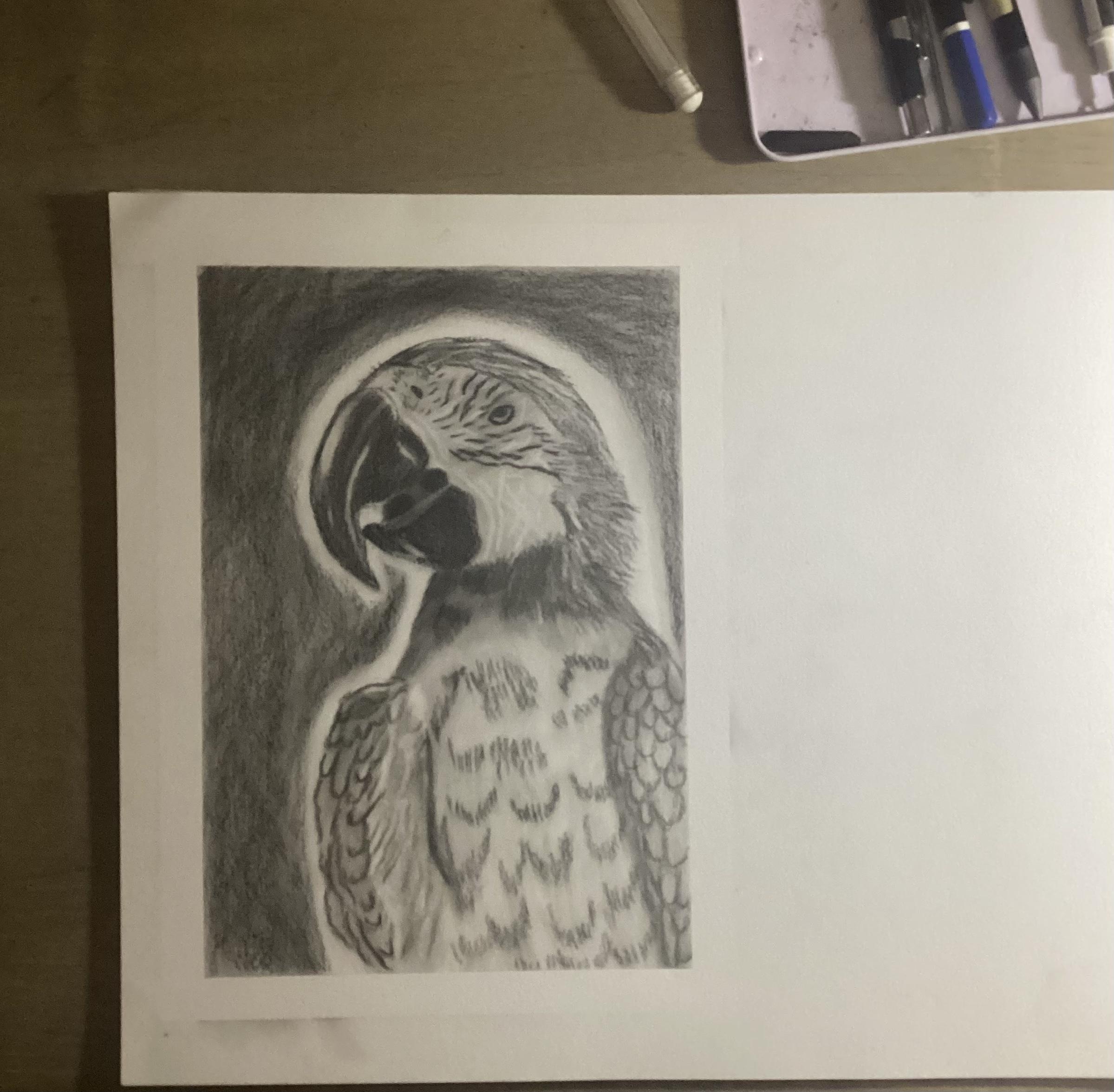 more-projects-from-class-img