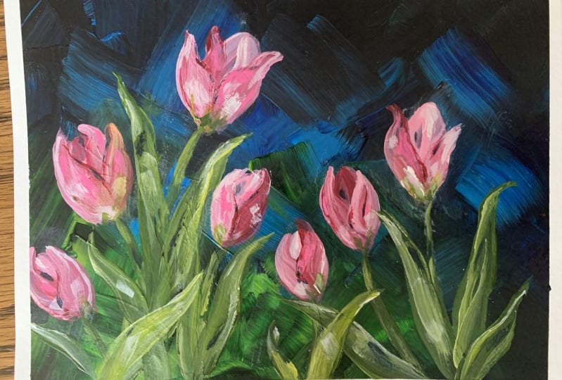Dreamy Tulips