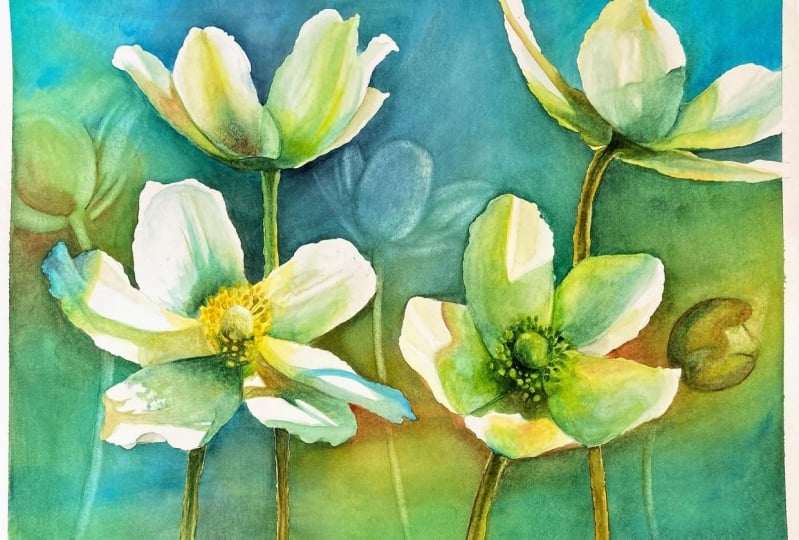 Watercolor Anemones
