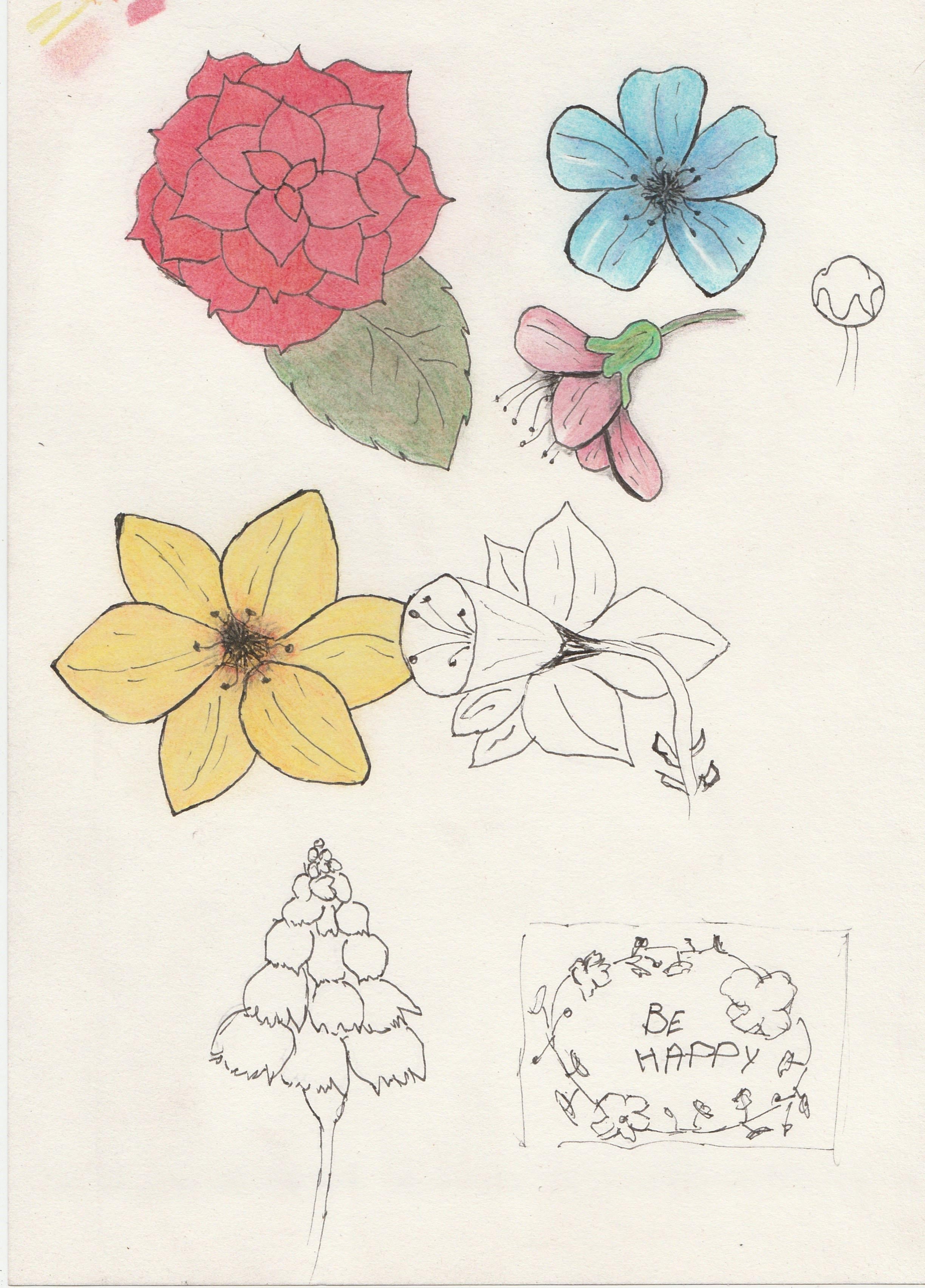 more-projects-from-class-img