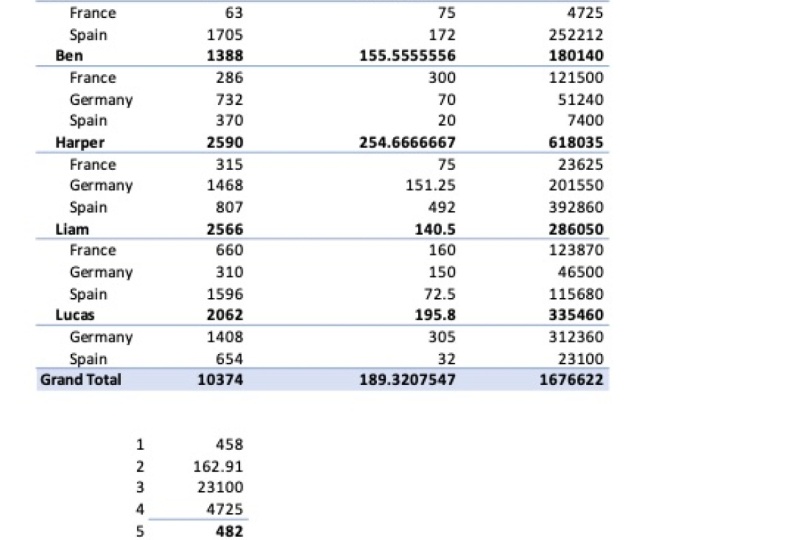 Pivot Tables Project