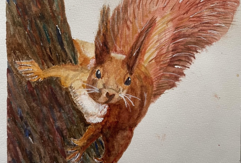 Squirrels