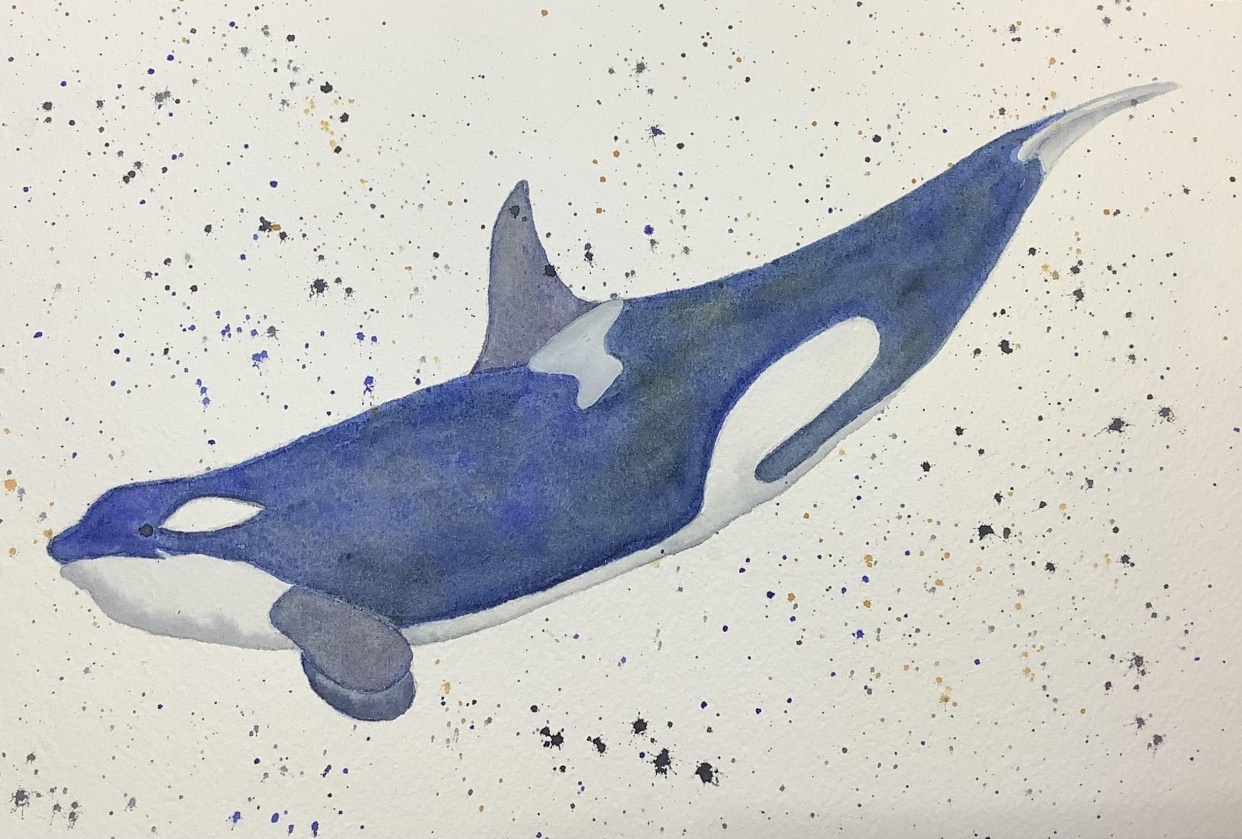 Faune en aquarelle : mélanger des noirs vifs et des couleurs neutres |  Lyndsay Newton | Skillshare, image size:1242x839