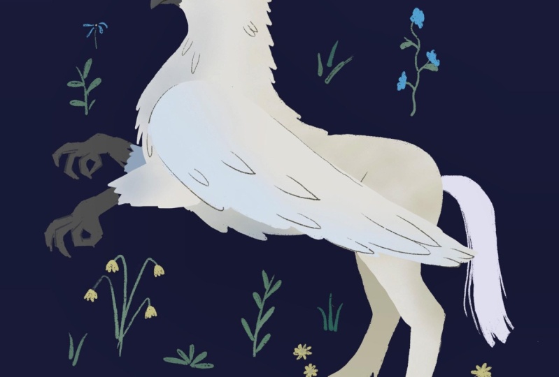 Hippogreif  / Procreate von Anfang an