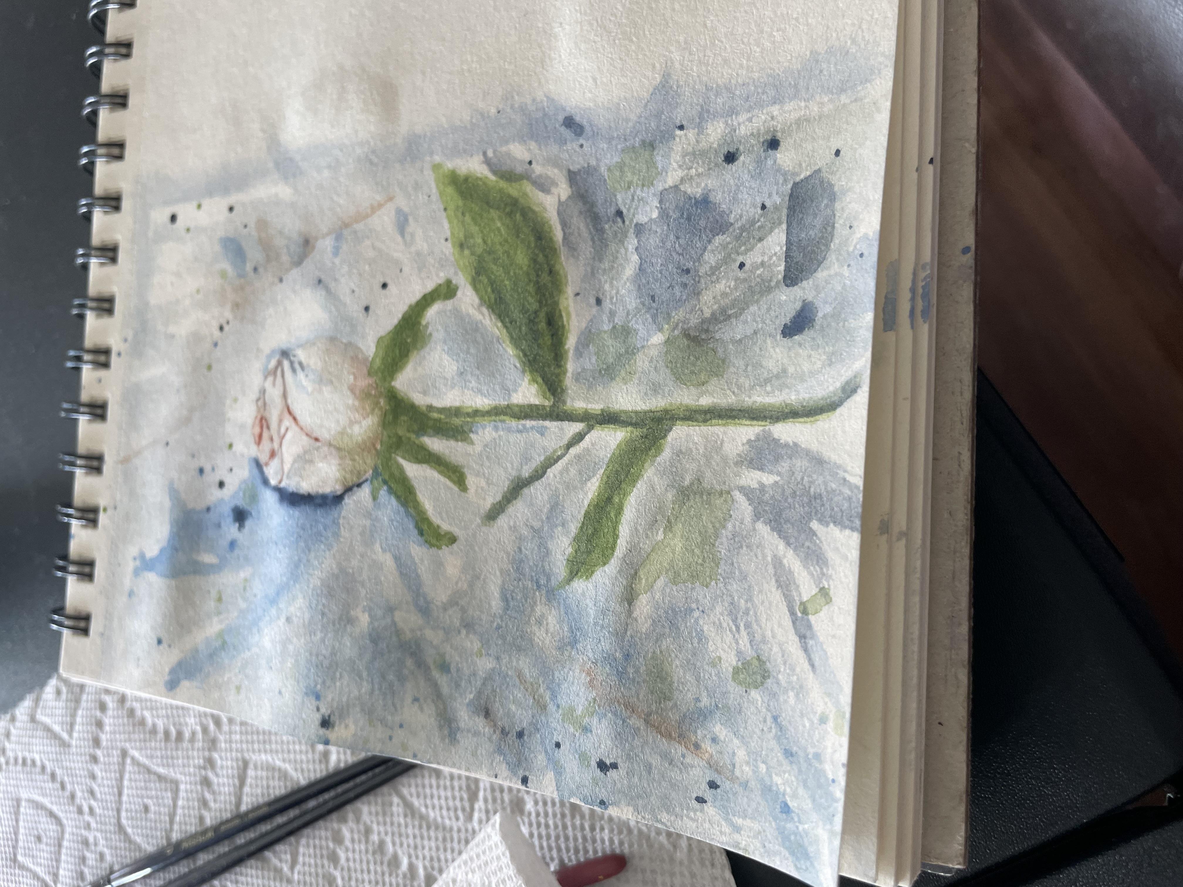 White Rose - student project