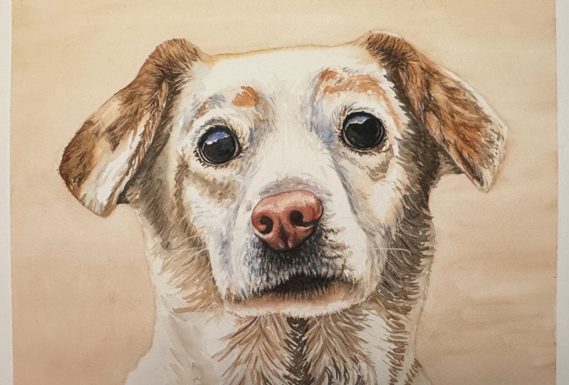 How to Paint a Realistic Dog in Watercolor | Chris | Skillshare