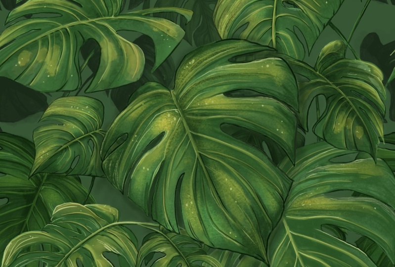 Painting Monstera leaves
