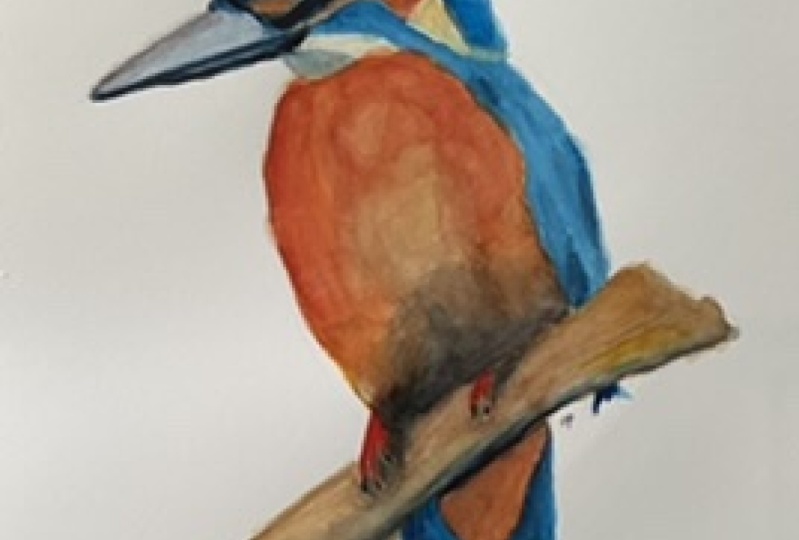 Watercolour kingfisher