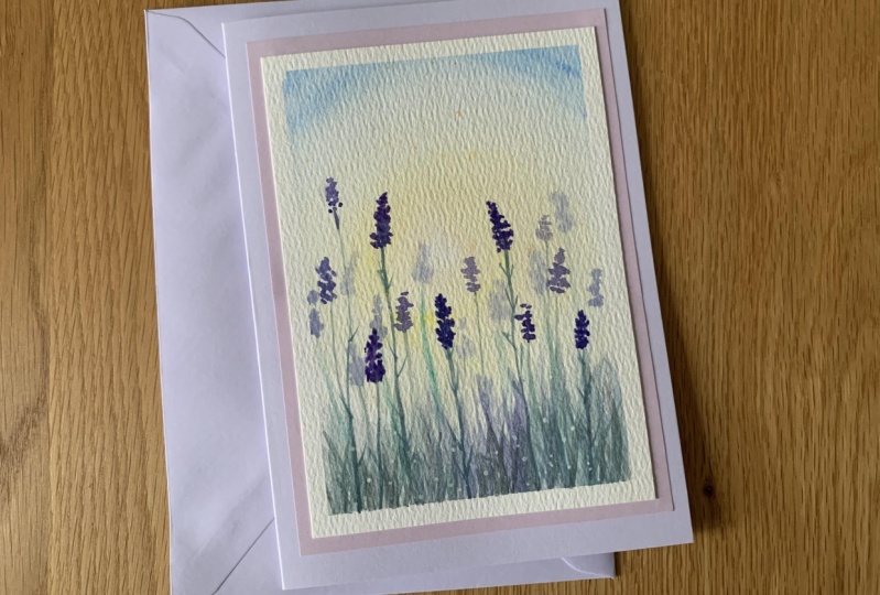 Lavender field