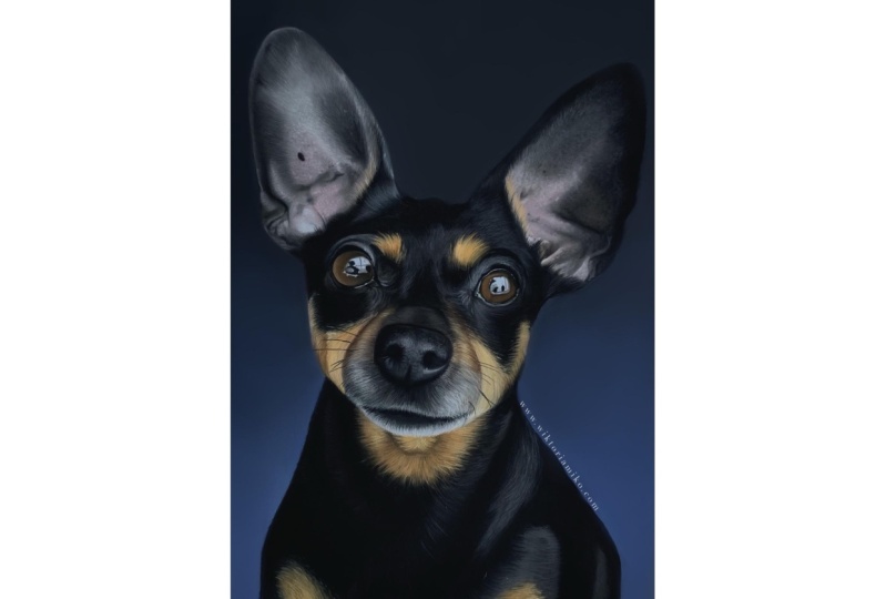 My Pastel Drawing of a Dog!