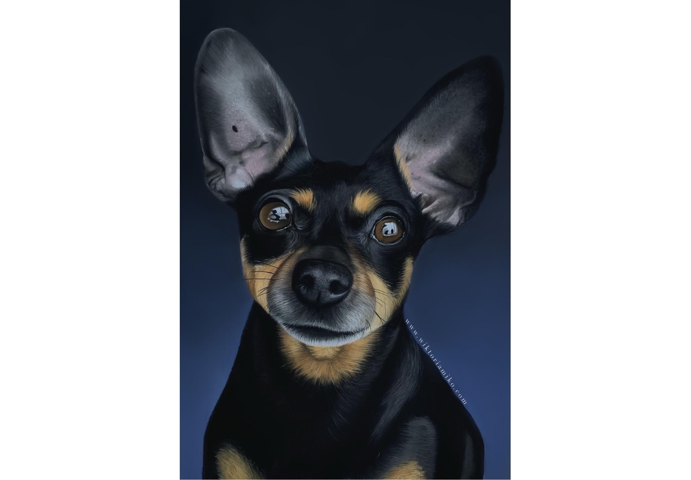 My Pastel Drawing of a Dog! - student project