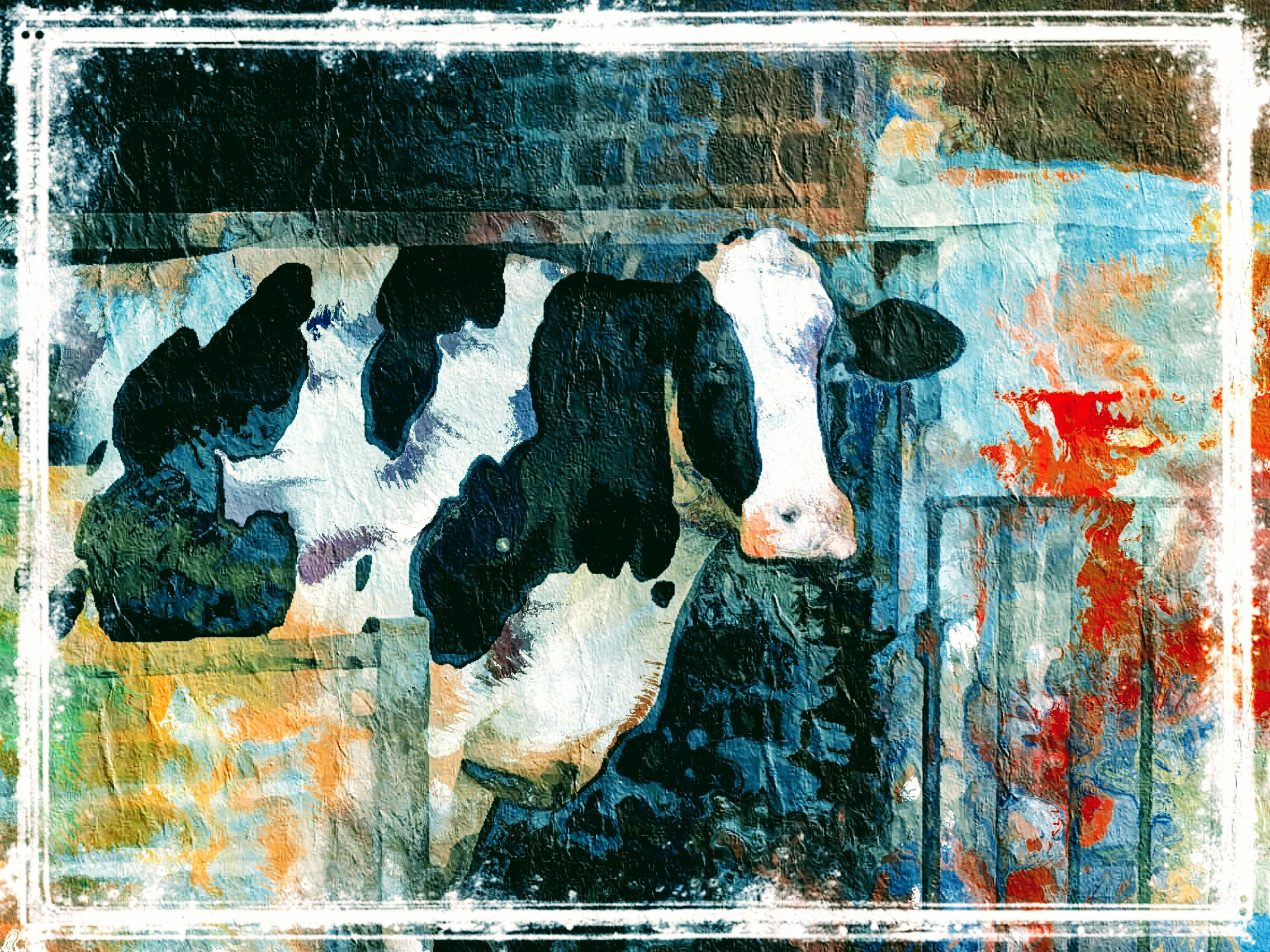 Holy Cow - student project