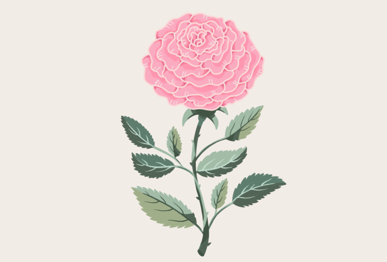 Blumen aus Referenzen zeichnen: stilisierte Rose in Procreate | Iva
