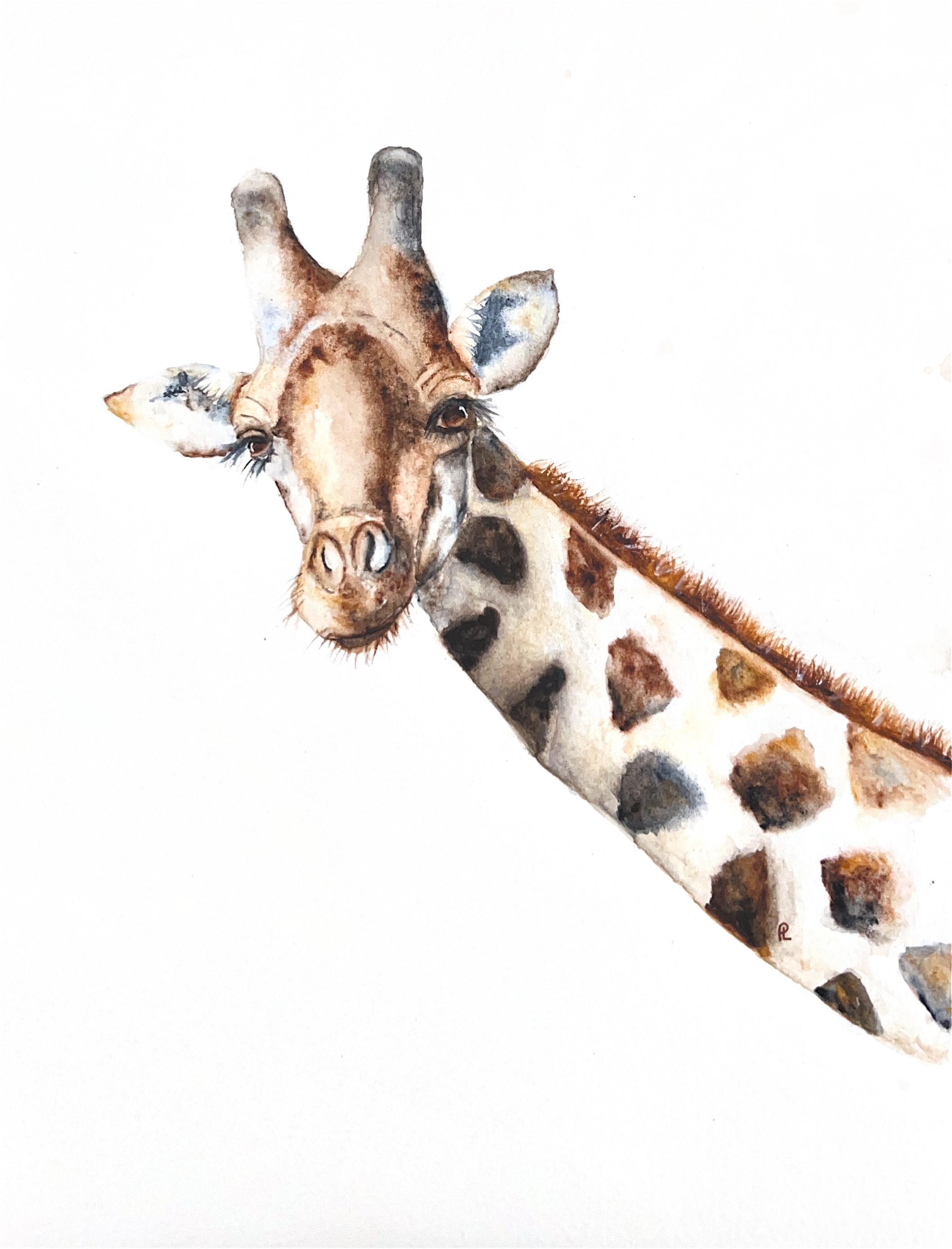 Baixe Imagemde Cabeça De Girafa | Wallpapers.com, image size:2115x2775